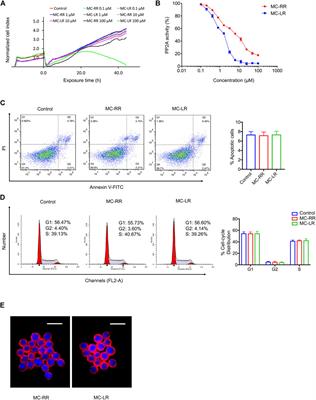 Anti-Fibrotic Effects of Low Toxic Microcystin-RR on Bleomycin-Induced Pulmonary Fibrosis: A Comparison with Microcystin-LR